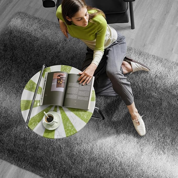 Zentavio Area Rugs for Living Room Rugs for Bedroom 4x6 Carpet Fluffy Soft Shag Aesthetic Plush High Pile Gray Throw Rug for Nursery Kids Room Dorm Grey White