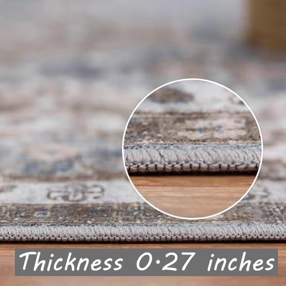 Washable Vintage Area Rug 6x9 Boho Chic Medallion Distressed Design Non-Shedding Easy Care Ideal for High Traffic Areas in Living Room Bedroom Kitchen Office Large Carpet