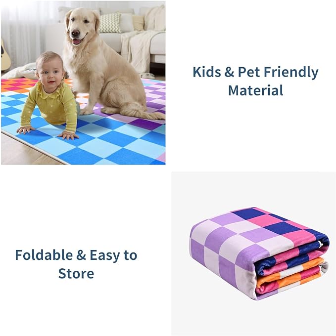 Terrug Multicolored Checkered Rug for Living Room Bedroom, 3x5 Soft Washable Area Rug with Non Slip, Low Pile Stain Resistance Carpet for Kids Room Entryway Kitchen Dorm