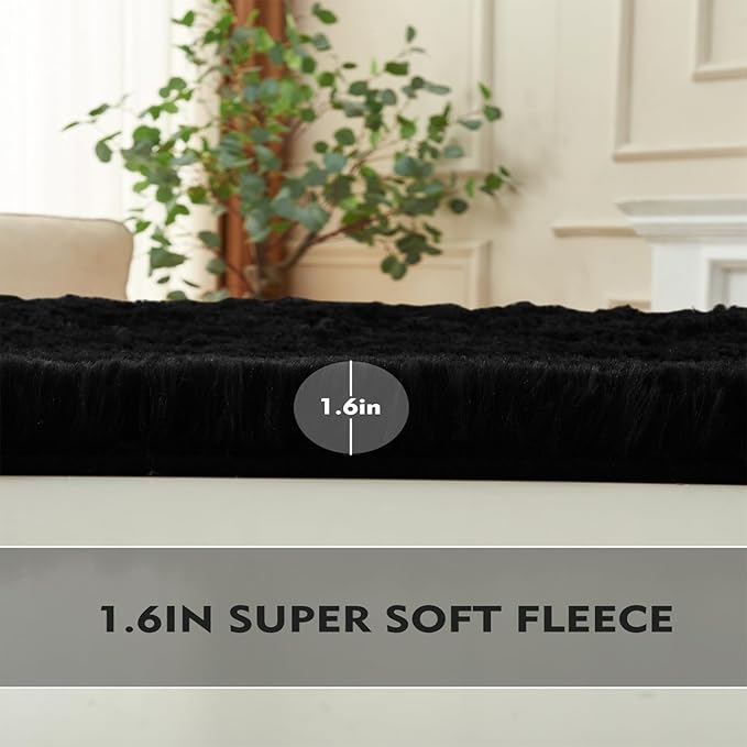 2×3 Small Rugs for Bedroom, Super Soft Living Room Shaggy Non-Slip Fluffy Furry Rug, Indoor Black Floors Carpet, for Kids Girls Boys Room, Dorm Nursery RoomsHome Decor Aesthetic