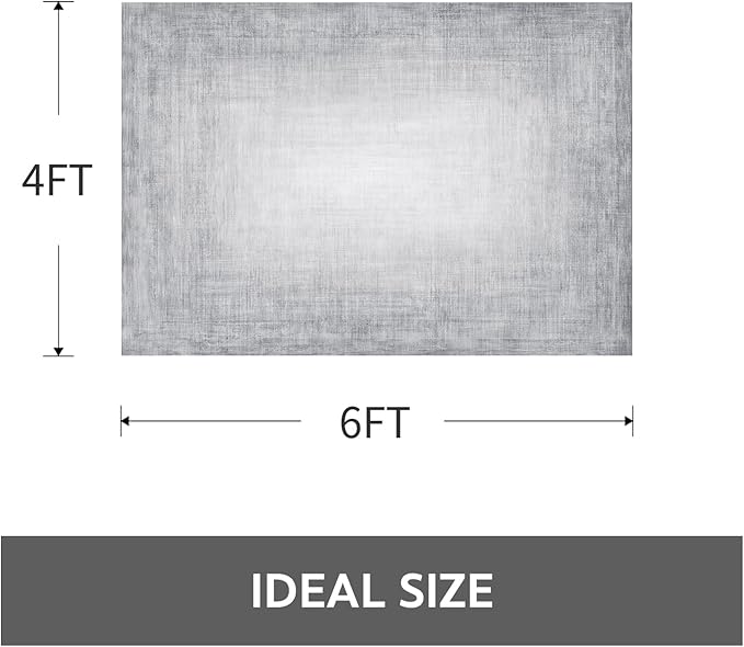 4x6 Area Rugs for Living Room, Machine Washable Non Slip Area Rug Modern Abstract Indoor Rug Carpet Ultra Soft Rugs for Bedroom Dining Room Playroom Bedside Office, Grey