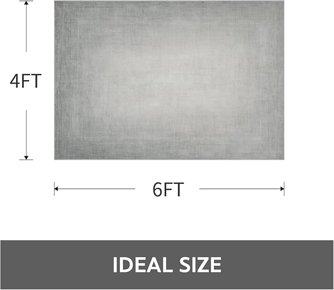 4x6 Area Rugs for Living Room, Machine Washable Non Slip Area Rug Modern Abstract Indoor Rug Carpet Ultra Soft Rugs for Bedroom Dining Room Playroom Bedside Office, Ash Grey