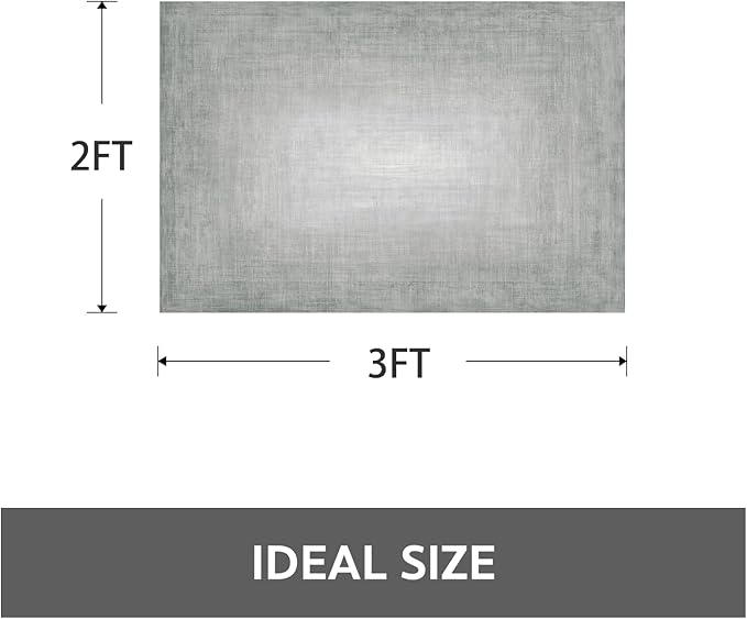 Small Area Rug-2x3 Entryway Rug Non Slip Washable Low Pile Indoor Door Mat Modern Abstract Entrance Rugs Carpet for Bedroom Kitchen Powder Room Front Porch Bathroom, Ash Grey