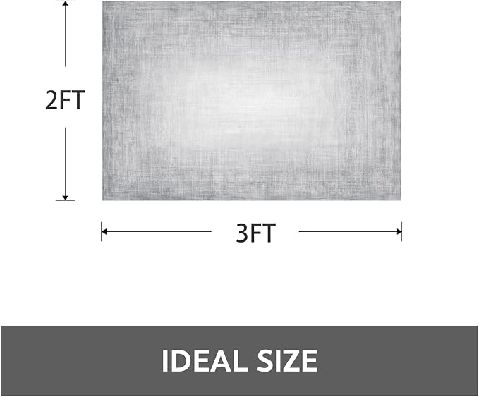 Small Area Rug-2x3 Entryway Rug Non Slip Washable Low Pile Indoor Door Mat Modern Abstract Entrance Rugs Carpet for Bedroom Kitchen Powder Room Front Porch Bathroom, Grey