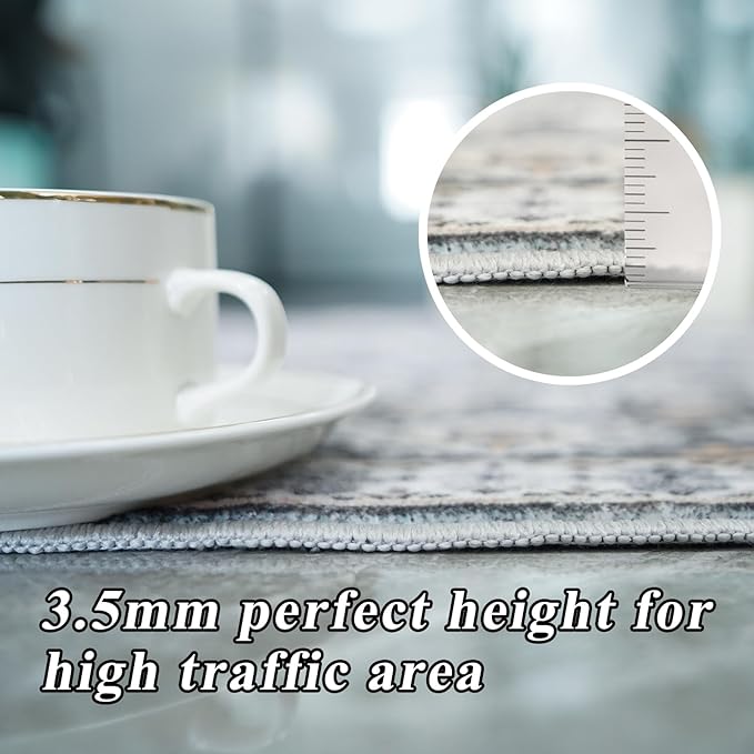 Washable Living Room Area Rug: 5x7 Super Soft Vintage Non Slip Backing Indoor Rug Oriental Bedroom Farmhouse Carpet Stain Resistant Ultra Thin Distressed Mats for Kitchen Entry 5x7 Black