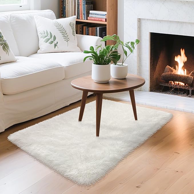 White Fluffy Rug for Bedroom Living Room, 2x3 Small Area Rug Furry Throw Bedside Rug for Dorm, Non-Slip Entryway Indoor Front Door Mat, Soft Plush Shag Carpet Washable for Nursery Kids Room