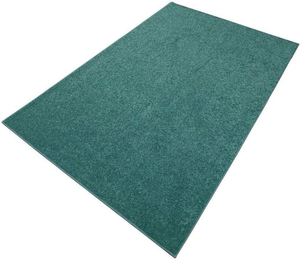 Furnish my Place Modern Plush Solid Color Rug - Teal, 2' x 24', Pet and Kids Friendly Rug. Made in USA, Area Rugs Great for Kids, Pets, Event, Wedding