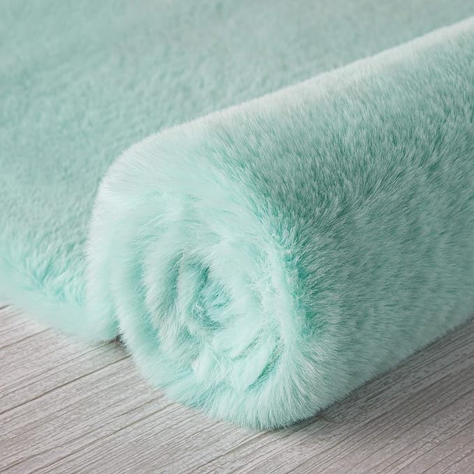 Ashler HOME DECO Ultra Soft Faux Rabbit Fur Chair Couch Cover Area Rug for Bedroom Floor Sofa Living Room Turquoise-Rectangle 2 x 3 Feet