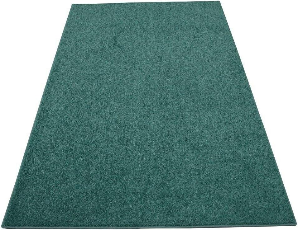 Furnish my Place Modern Plush Solid Color Rug - Teal, 2' x 24', Pet and Kids Friendly Rug. Made in USA, Area Rugs Great for Kids, Pets, Event, Wedding