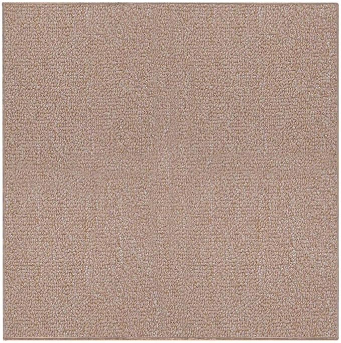 Ambiant Broadway Collection Pet Friendly Indoor Outdoor Area Rugs Beige - 2' Square, Stain & Fade Resistant, Easy Care, Pet & Kids Friendly, Made in USA, Perfect for Weddings & Everyday Use!