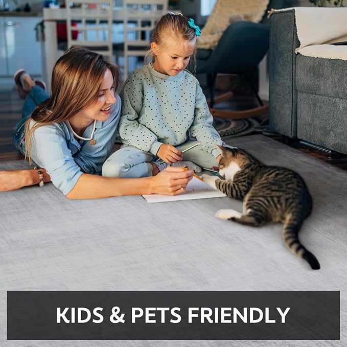 4x6 Area Rugs for Living Room, Machine Washable Non Slip Area Rug Modern Abstract Indoor Rug Carpet Ultra Soft Rugs for Bedroom Dining Room Playroom Bedside Office, Grey