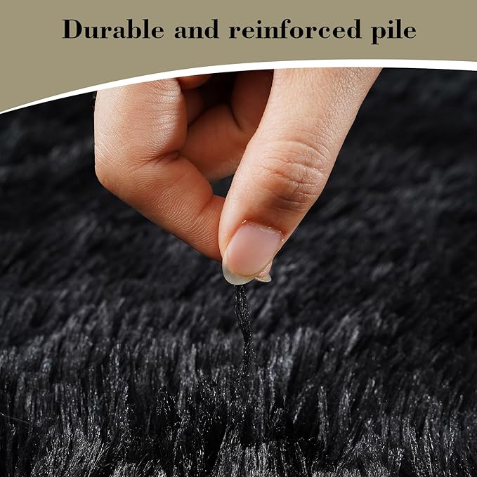 Fluffy Rug Shaggy Area Rug, Black 2x4 Area Rugs for Bedroom, Small Bedside Rug, Soft Fluffy Shaggy Entryway Throw Rugs for Living Room Bedroom Kids Room Home Decor