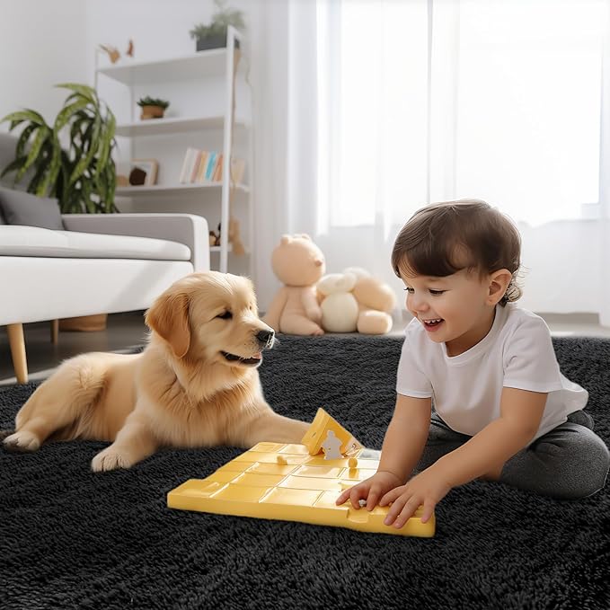Sour Lemon 6x9 Area Rugs for Bedroom, Living Room Fluffy Rug, Large Area Rug Shag Shaggy Carpet Soft Plush Furry Bedside Rugs, Machine Washable Area Rugs for Kids Girls Boys Home Decor Anti Slip