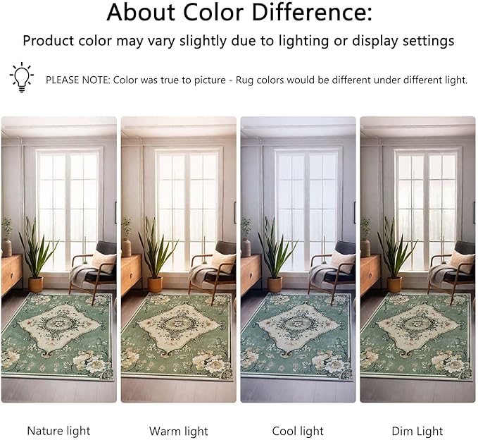 3x5 Area Rug Machine Washable Entryway Rugs Boho Green Rug Non-Slip Low Pile Door Mat Entrance Small Carpet for Home Kitchen Bathroom Bedroom