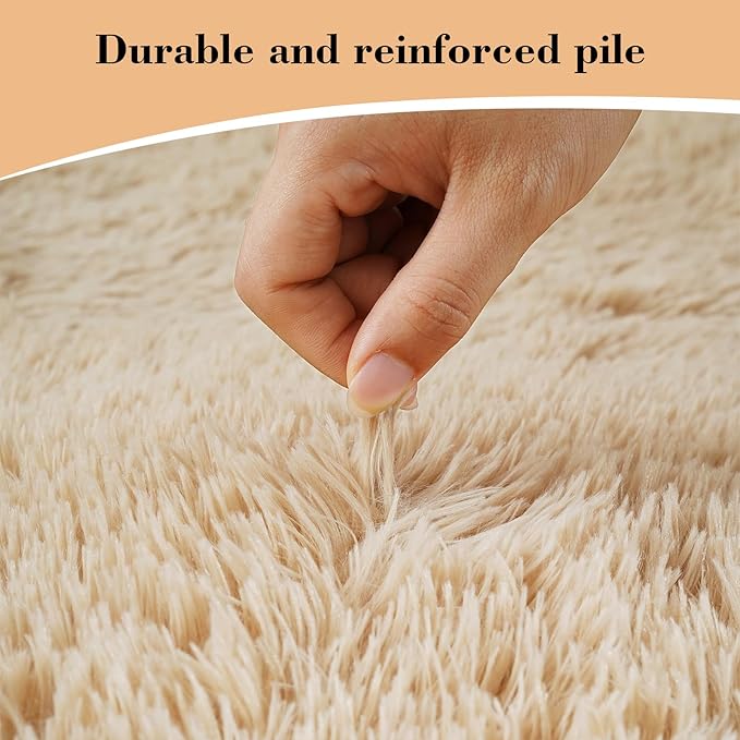 Fluffy Rug Shaggy Area Rug, Beige 3x5 Area Rugs for Bedroom, Small Bedside Rug, Soft Fluffy Shaggy Entryway Throw Rugs for Living Room Bedroom Kids Room Home Decor
