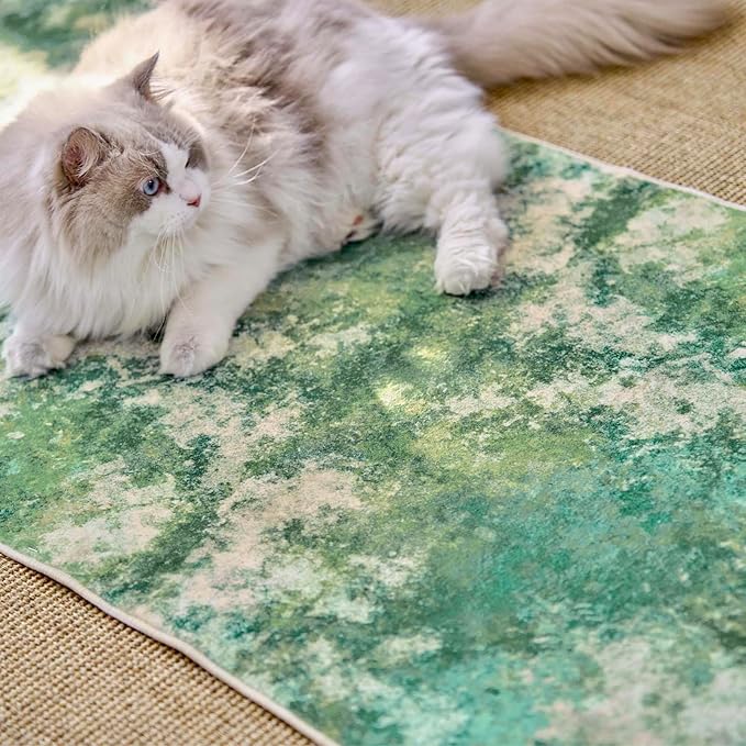 jinchan Spring Runner Rug 2x5 Modern Hallway Rug Abstract Washable Runner Indoor Watercolor Print Contemporary Non Slip Soft Carpet for Kitchen Bedroom Bathroom Laundry Room Living Room, Green Multi