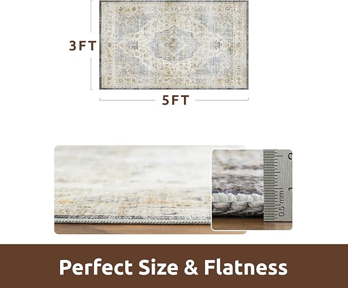 AMOAMI-3X5 Area Rug-Soft Washable Rug for Living Room Bedroom -Non Slip Entryway Rug-Indoor Vintage Throw Rug Accent Rug for Living Room Laundry Room Kitchen Bathroom Bedside Aqua