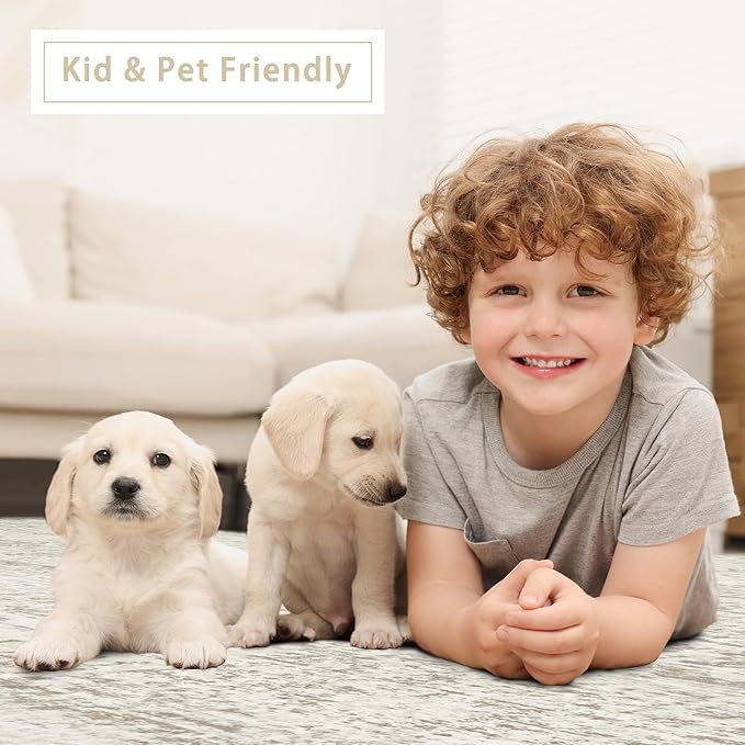 Washable Rugs 3x5 Area Rugs for Living Room,Bedroom- Non Slip Vintage Entryway Rug for Indoor Entry,Kitchen,Bathroom,Kids Girls Room,Home,Office,Ultra Soft Faux Wool Laundry Room Small Carpets