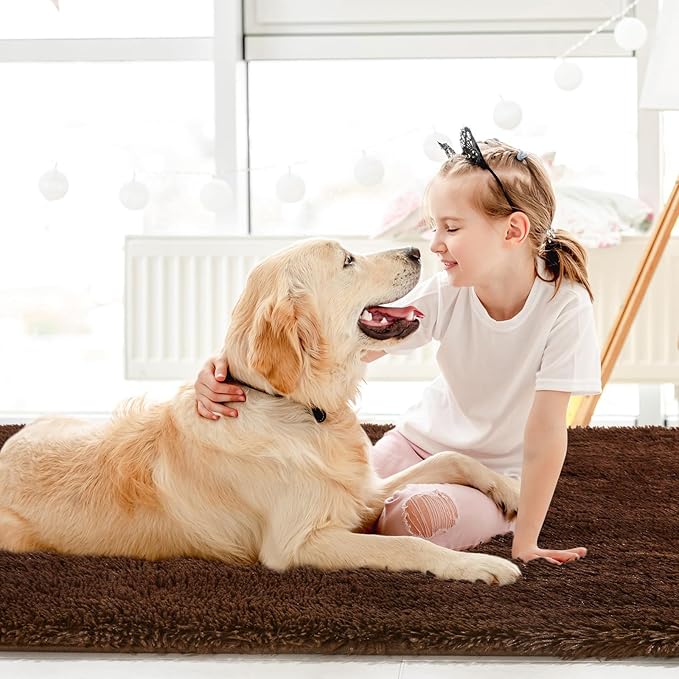 Sour Lemon Area Rugs 9x12 Living Room, Large Area Rug Shag Shaggy Carpet Soft Plush Furry Bedside Rug, Machine Washable Area Rugs for Bedroom Kids Girls Boys Home Decor Anti Slip