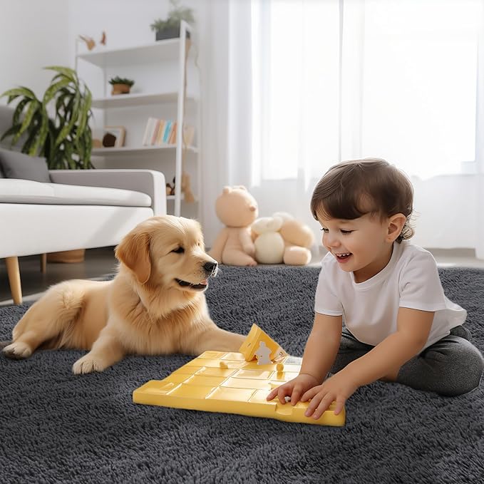 Sour Lemon 8x10 Area Rugs for Bedroom, Living Room Fluffy Rug, Large Area Rug Shag Shaggy Carpet Soft Plush Furry Bedside Rugs, Machine Washable Area Rugs for Kids Girls Boys Home Decor Anti Slip