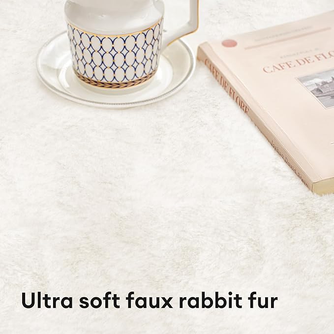 Ultra Soft Kitchen Rugs for Entryway Bathroom 2x3 Feet, Fuzzy Washable Indoor Door Mat - Cozy Faux Rabbit Fur, Small Carpet for Bedroom Entry (Beige)