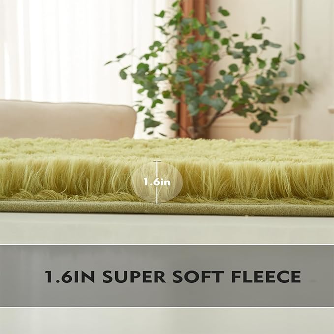 2×3 Small Rugs for Bedroom, Super Soft Living Room Shaggy Non-Slip Fluffy Furry Rug, Indoor Green Floors Carpet, for Kids Girls Boys Room, Dorm Nursery RoomsHome Decor Aesthetic