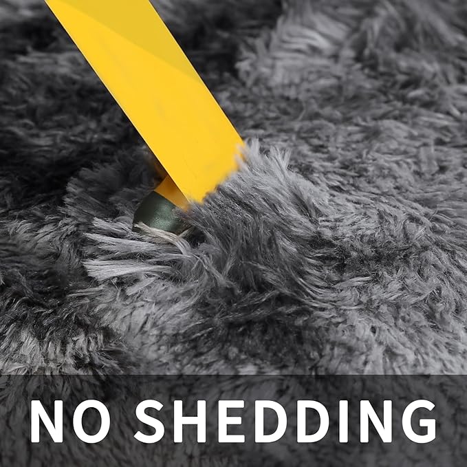 Sour Lemon 5x7 Area Rugs, Large Area Rug 5 x7, Washable Area Rugs, Bedroom Area Rug Shag Shaggy Carpet Soft Plush Furry Bedside Fluffy Rug for Living Room Kids Girls Boys Home Decor Anti Slip