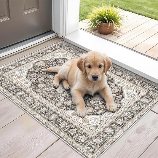 Washable Area Rug 2x3 - Entryway Living Room Large Indoor Rugs Soft Oriental Vintage Bedroom Rugs Non-Slip Backing Stain Resistant for Farmhouse Kitchen-2x3 Grey