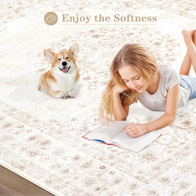 2x3 Area Rugs for Entryway: Washable Vintage Rug Indoor Soft Non-Slip Distressed Doormat for Bedroom Bathroom Kitchen Home Office (Beige, 2'x3')
