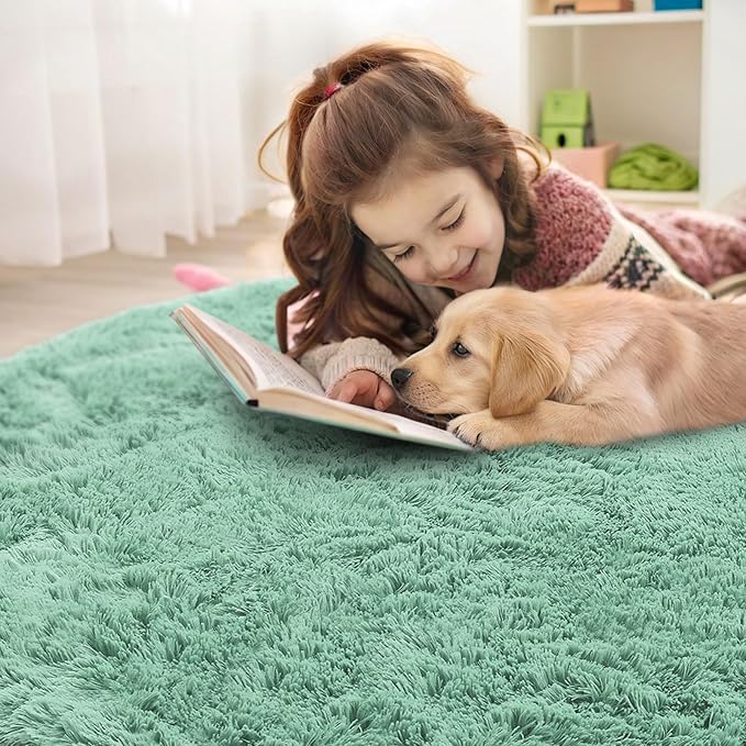 OLANLY Mint Green Round Rugs for Bedroom - Machine Washable, 4x4 Feet Circle Area Rugs for Living Room, Soft and Fluffy Shaggy Carpet for Teen Girl and Boys, Dorms, Nursery Rooms, Home Decor Aesthetic