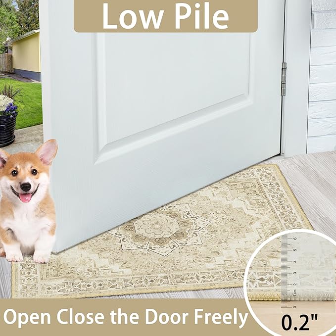 Washable Area Rug 2x3 Boho Entryway Rug Non Slip Small Vintage Rug for Entryway Door Mat Oriental Distressed Low-Pile Floor Carpet for Indoor Front Entrance Kitchen Bathroom Hallway, Beige