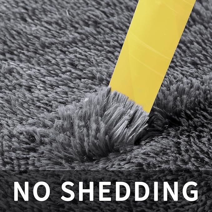 Sour Lemon Area Rugs 9x12 Living Room, Grey Large Area Rug Shag Shaggy Carpet Soft Plush Furry Bedside Rug, Machine Washable Area Rugs for Bedroom Kids Girls Boys Home Decor Anti Slip