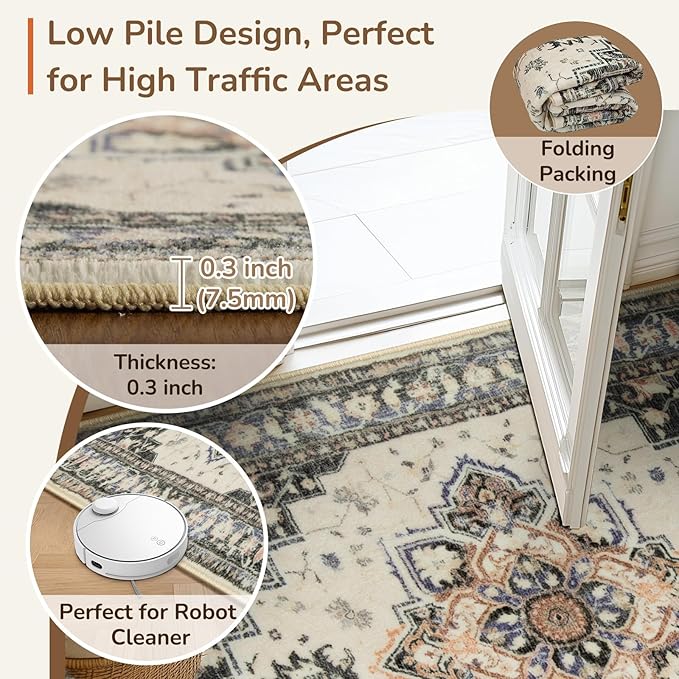 BESTSWEETIE 2x3 Area Rugs for Living Room, Washable Ultra Soft Boho Vintage Print Pattern Rug Non Slip Low Pile Carpet for Dining Room Bedroom Entryway Indoor-Khaki/Beige/Purple/Black