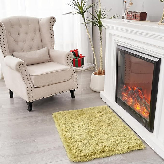 2×3 Small Rugs for Bedroom, Super Soft Living Room Shaggy Non-Slip Fluffy Furry Rug, Indoor Green Floors Carpet, for Kids Girls Boys Room, Dorm Nursery RoomsHome Decor Aesthetic