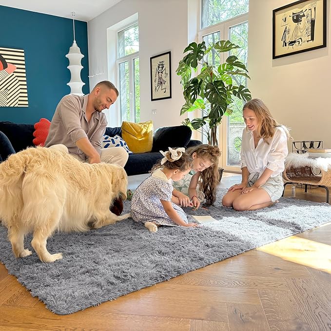 OLANLY Area Rugs for Living Room Bedroom, Machine Washable 4x5.9 Feet Soft Fluffy Shaggy Bedside Rug, Indoor Floor Carpet for Kids Girls Boys, Dorms, Nursery Rooms, Home Decor Aesthetic, Light Grey