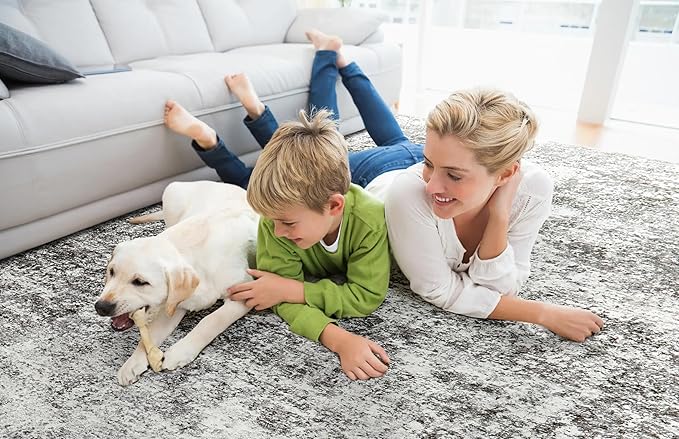 Area Rugs for Living Room: 5x8 Washable Neutral Abstract Rug for Bedroom Large Soft Modern Dining Room Rugs Indoor Floor Low Pile Carpet for Home Office Nursery - Grey