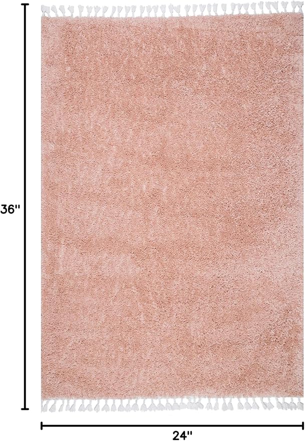 nuLOOM Neva Modern Tasseled Shag Accent Rug, 2' x 3', Pink, Rectangular, 1.55" Thick