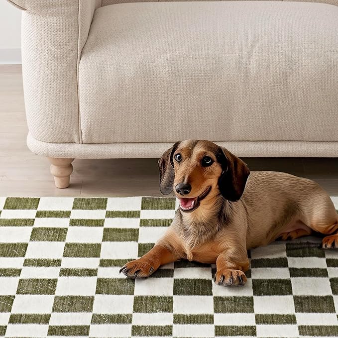 EVERGRACE Checkered Plaid Area Rug 2x3, Soft Fuzzy Faux Wool Rugs Washable Anti Slip Rugs Small Rug Carpet for Entryway Bedroom Living Room Hallway Kitchen Dining Room and Laundry Room, Olive Green