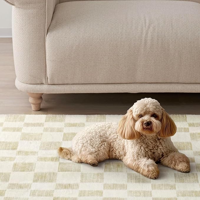 EVERGRACE Checkered Plaid Area Rug 2x6, Soft Faux Wool Rugs Washable Anti Slip Rugs Long Runner Rug Carpet for Entryway Bedroom Living Room Hallway Kitchen Dining Room and Laundry Room, Beige