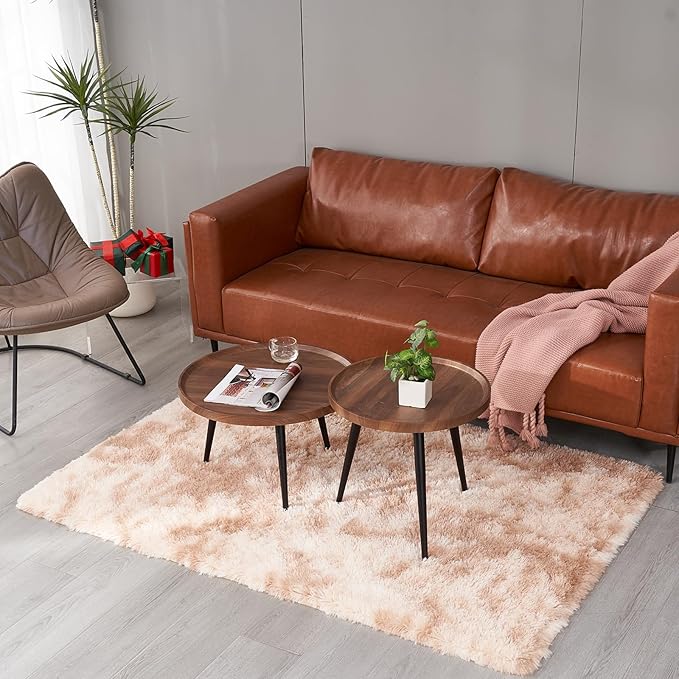 4x6 Fluffy Shag Living Room Rugs, Indoor Tie Dye Beige Furry Area Rug, Bedroom Super Soft Anti-Skid Shaggy Floor Carpet, Kids Girls Boys Room, Dorm Nursery RoomsHome Decor Aesthetic