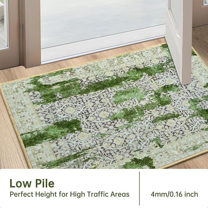 Door Mat Indoor Entrance Rug, 2x3 Entryway Area Rugs Non-Slip Machine Washable, Ultra Soft Small Entry Throw Rug for Kitchen Floor, Front Door, Entry, Living Laundry Room, Kids Room