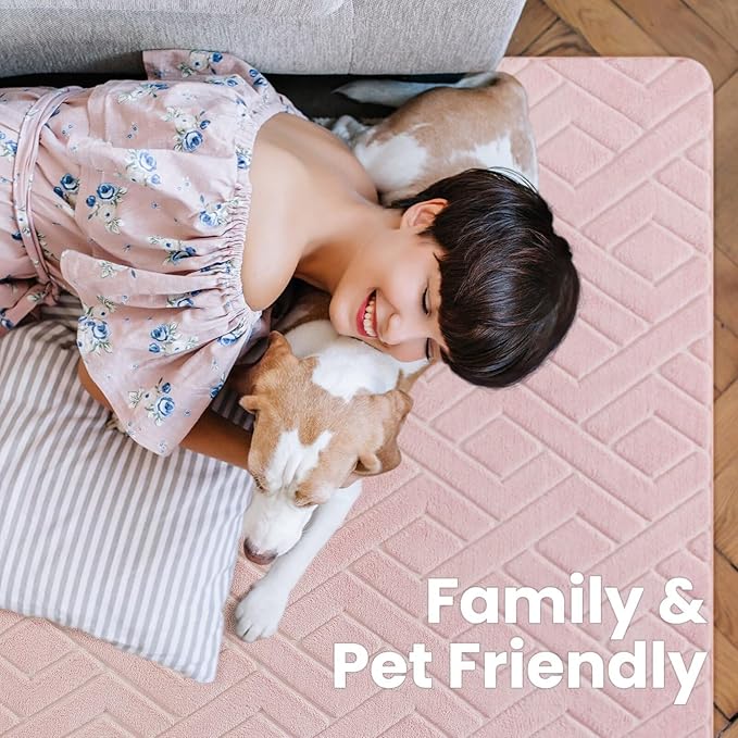 Ultra Soft Pink Area Rug for Living Room, 5x7 Modern Geometric Shag Rugs with Nonslip Backing for Bedroom, Washable Fuzzy Carpet for Cozy Kids Girls Room Nursery