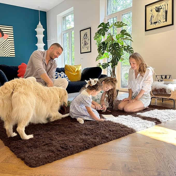 OLANLY 2x3 Machine Washable Small Bedside Rug, Soft Fluffy Shaggy Entryway Throw Rugs for Bedroom, Living Room, Indoor Floor Carpet for Kids Girls Boys, Nursery Rooms, Home Decor Aesthetic, Coffee