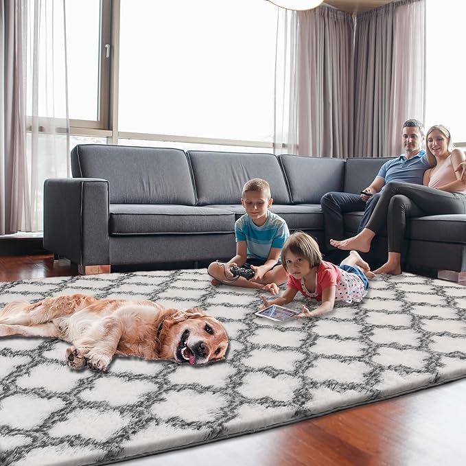 4x5.8 Plush Area Rug, High Pile Rugs for Living Room, Ultra Soft Indoor Carpet for Bedroom, Kids Room, Playroom, Home Decor, Geometric, White/Black