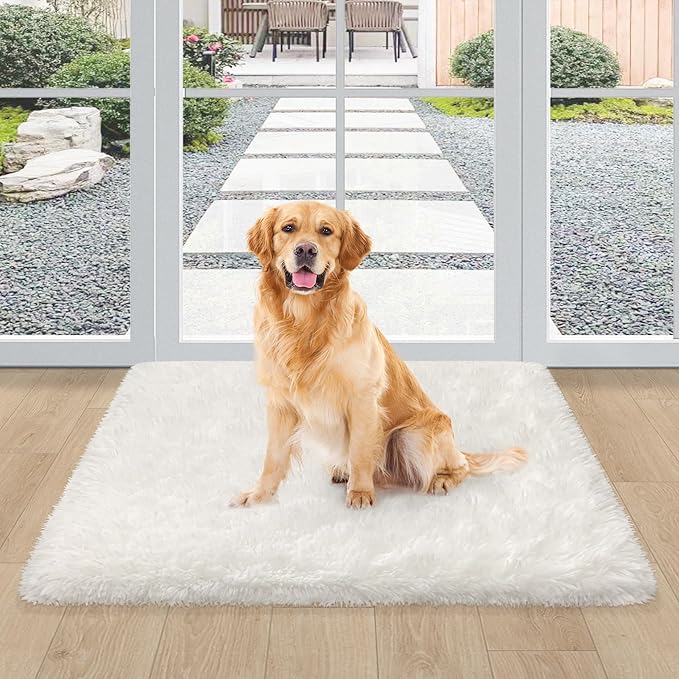 White Fluffy Rug for Bedroom Living Room, 2x3 Small Area Rug Furry Throw Bedside Rug for Dorm, Non-Slip Entryway Indoor Front Door Mat, Soft Plush Shag Carpet Washable for Nursery Kids Room
