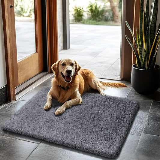 2x3 Fluffy Area Rugs for Bedroom Living Room,Small Soft Shag Fuzzy Rug Non-Shedding Indoor Plush Carpet for Kids Bedroom Nursery Dorm Home Decor,Deep Grey