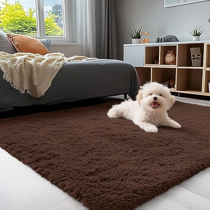 OLANLY 3x5 Machine Washable Small Bedside Rug, Soft Fluffy Shaggy Rugs for Living Room, Bedroom, Indoor Floor Carpet for Kids Girls and Boys, Preppy Dorms, Nursery, Home Decor Aesthetic, Coffee