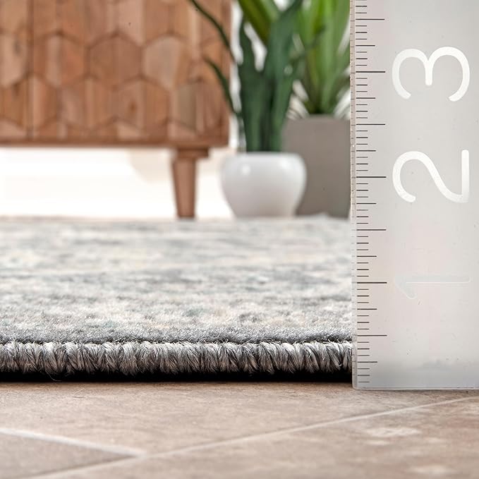 nuLOOM 4x6 Becca Traditional Tiled Area Rug, Charcoal, Faded Transitional Design, Stain Resistant, For Bedroom, Dining Room, Living Room, Hallway, Office, Kitchen, Entryway