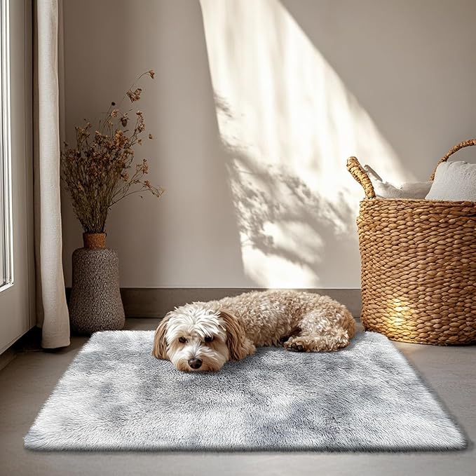 2x3 Fluffy Area Rugs for Bedroom Living Room,Small Soft Shag Fuzzy Rug Non-Shedding Indoor Plush Carpet for Kids Bedroom Nursery Dorm Home Decor,Mottling Grey