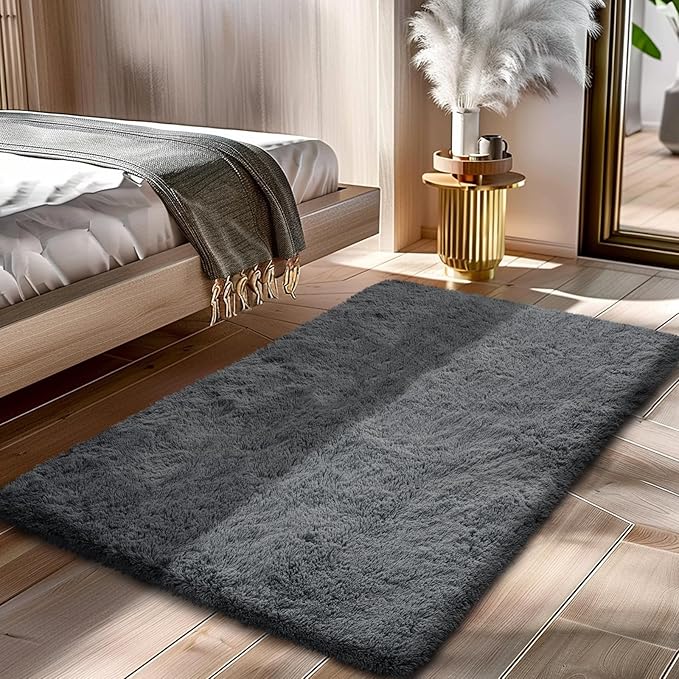 Fluffy Rug Shaggy Area Rug, Dark Gray 2x4 Area Rugs for Bedroom, Small Bedside Rug, Soft Fluffy Shaggy Entryway Throw Rugs for Living Room Bedroom Kids Room Home Decor